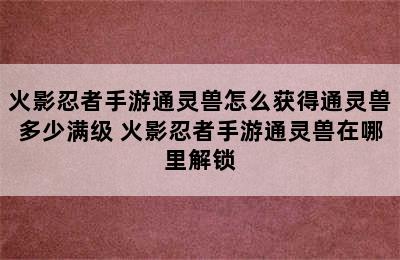 火影忍者手游通灵兽怎么获得通灵兽多少满级 火影忍者手游通灵兽在哪里解锁